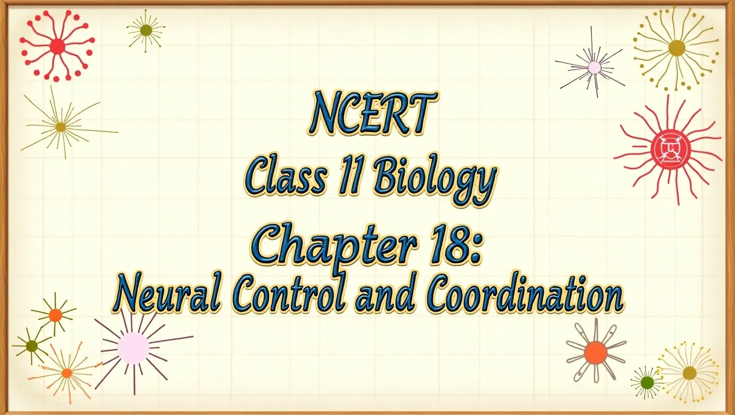 NCERT Class 11 Biology Chapter 18: Neural Control and Coordination