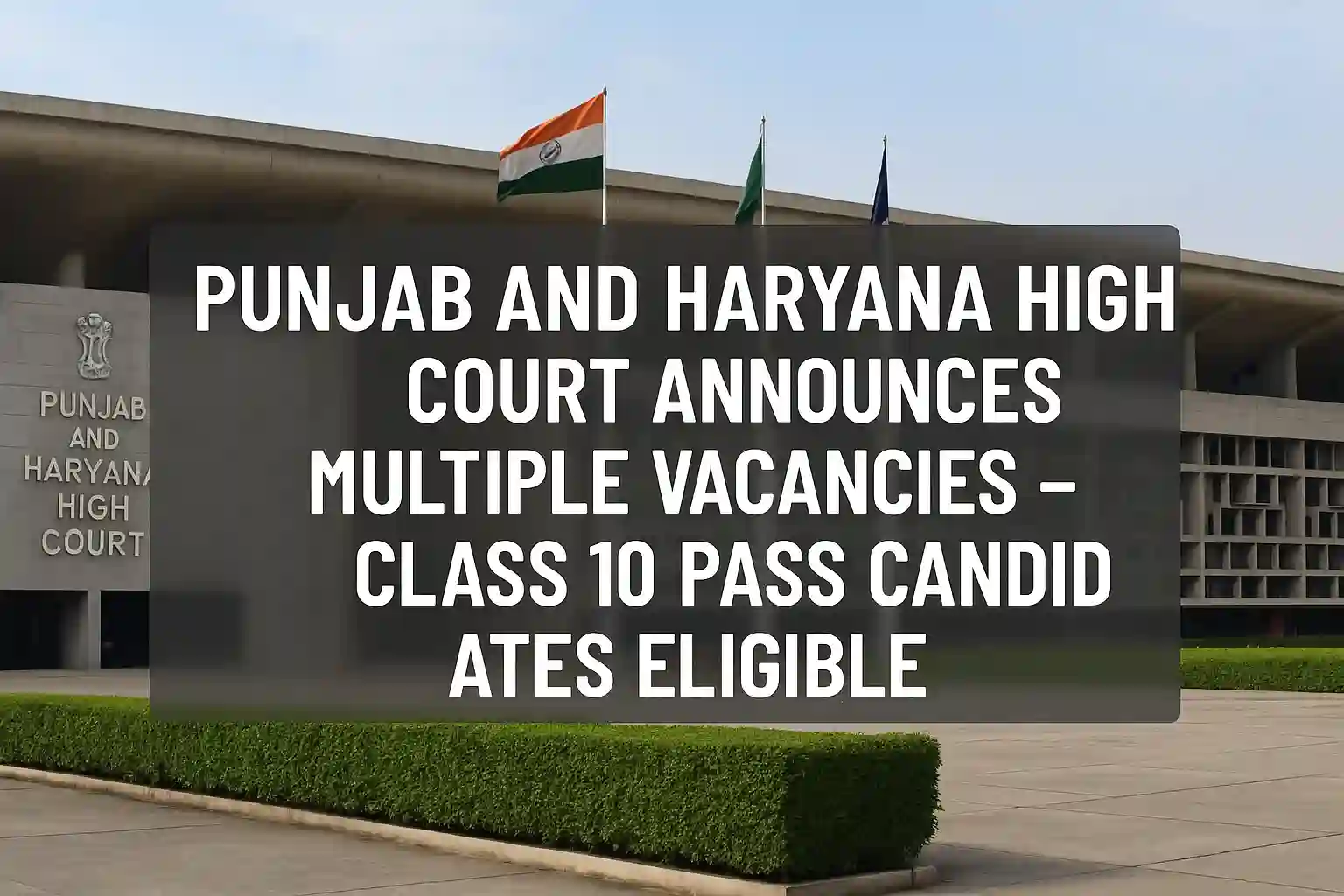 Punjab and Haryana High Court Announces Multiple Vacancies – Class 10 Pass Candidates Eligible