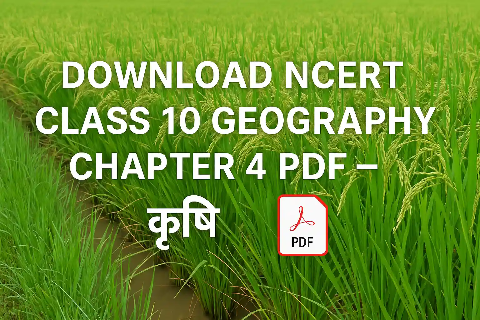Download NCERT Class 10 Geography Chapter 4 PDF – कृषि - Yuva Career