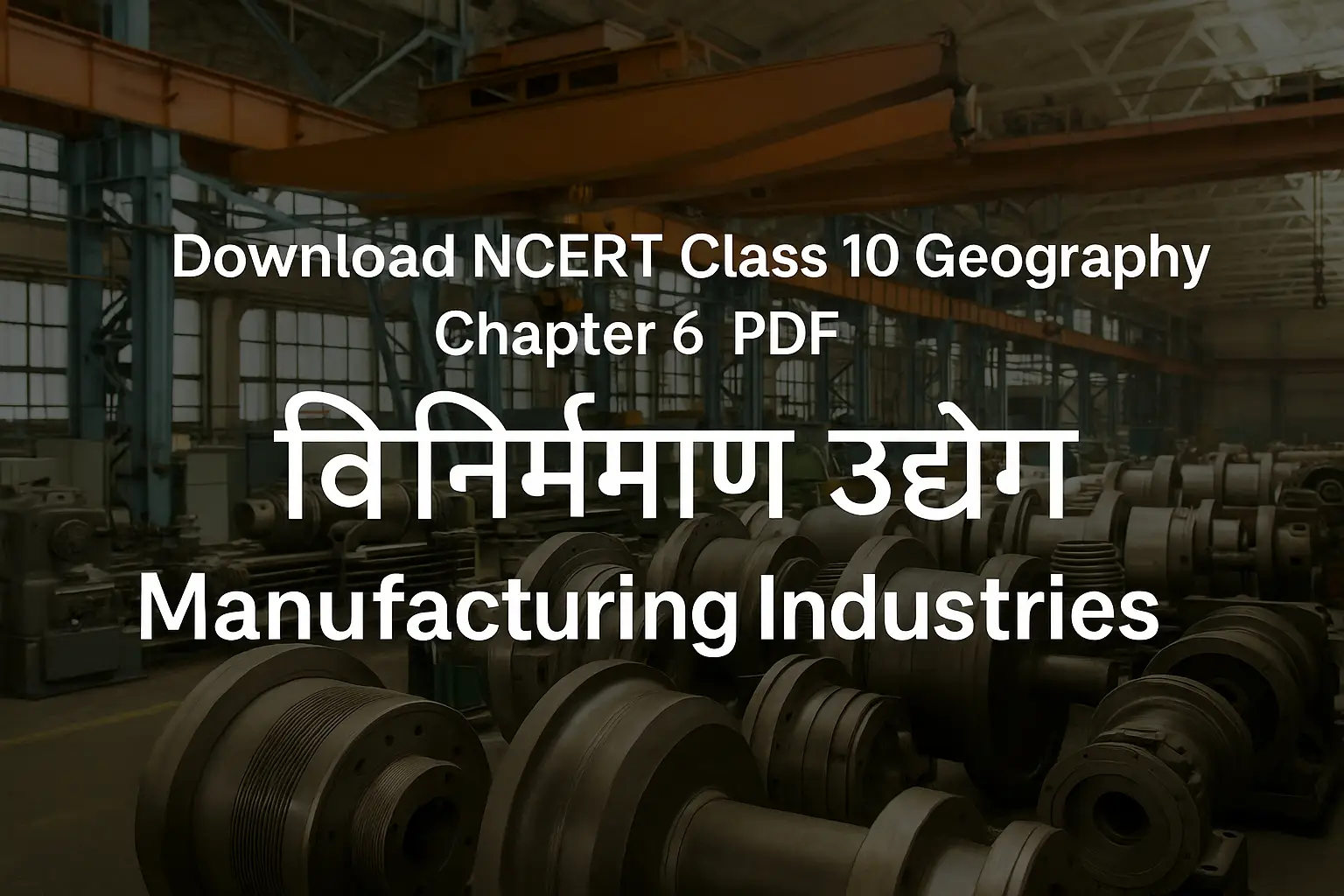 Download NCERT Class 10 Geography Chapter 6 PDF – विनिर्माण उद्योग ...
